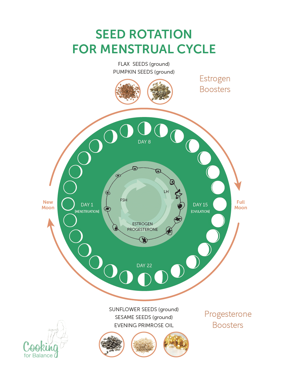 Seed Cycling for natural hormonal balance Lena Mackenzie